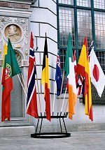 Vlaggen vertegenwoordigen de landen van de deelnemers aan het congres